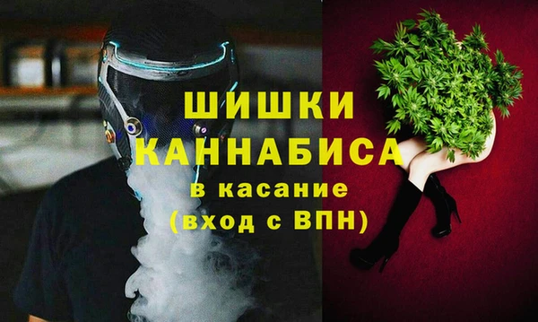 твердый Надым