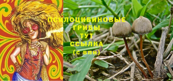 не бодяженный Мурманск