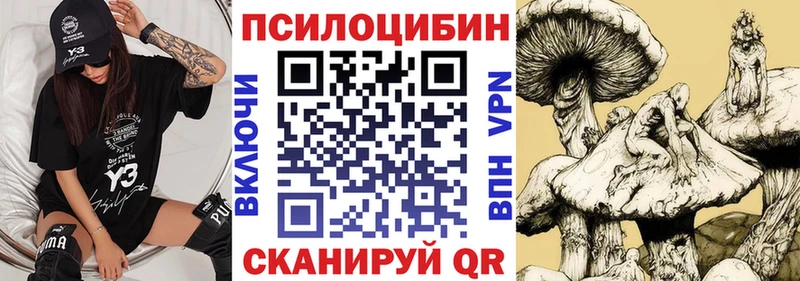 Псилоцибиновые грибы прущие грибы  Купить закладки  Лахденпохья 